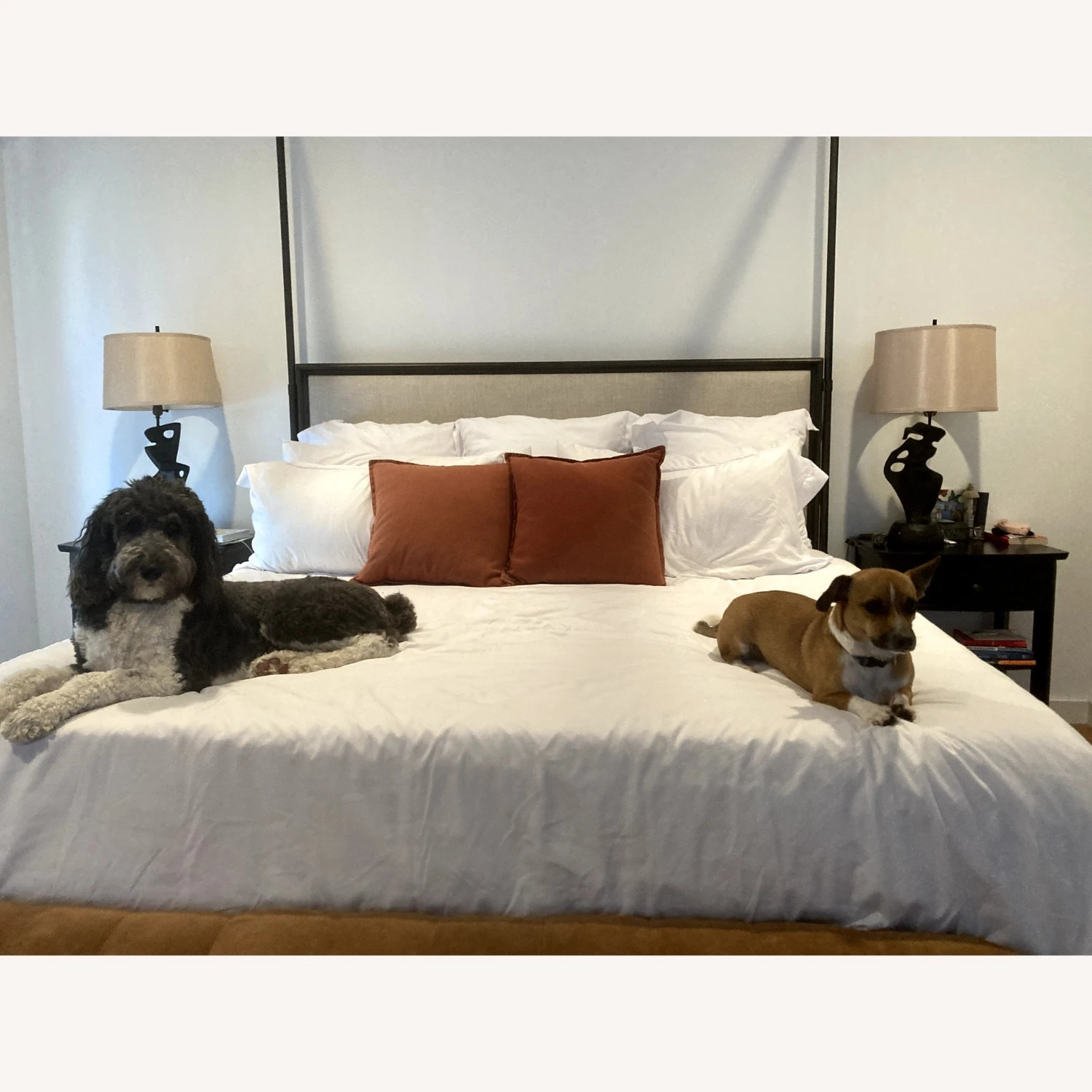 Restoration Hardware Canopy Bed - Image 4